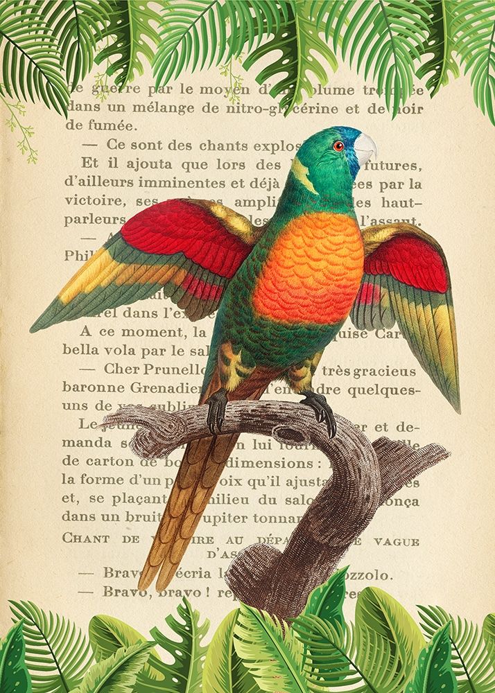 The Blue-Headed Parrot- After Levaillant — Lamanche, Stef