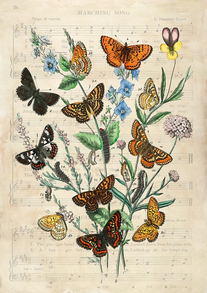 European Butterflies- After Kirby — Lamanche, Stef
