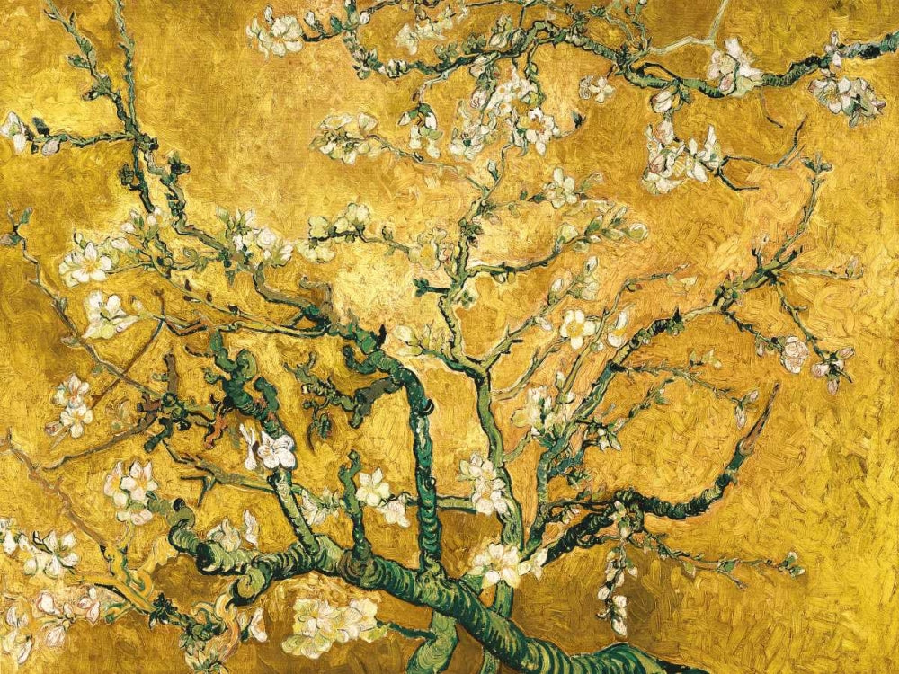 Mandorlo in fiore (gold variation) — Van Gogh, Vincent