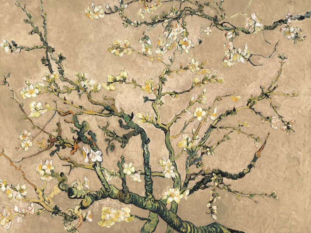 Mandorlo in fiore (beige variation) — Van Gogh, Vincent