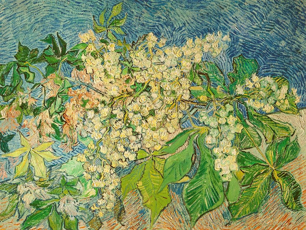 Blossoming Chestnut Branch — van Gogh, Vincent