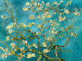Mandorlo in fiore III 2 — van Gogh, Vincent