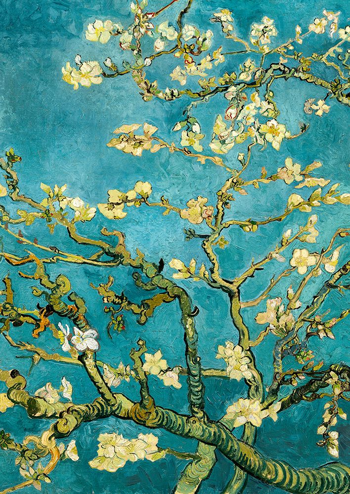Mandorlo in fioreÂ (detalhe) — van Gogh, Vincent