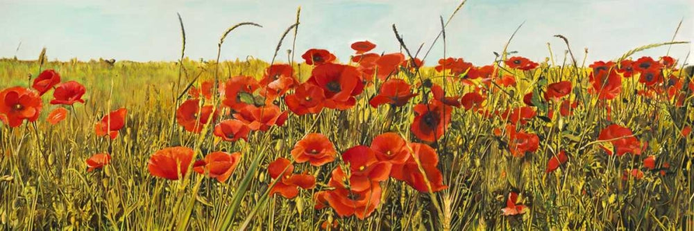 Poppy Field — Villa, Luca