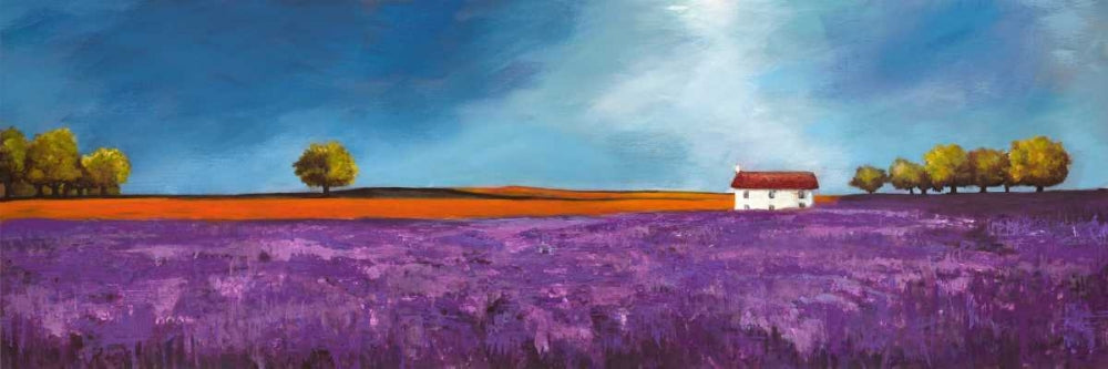 Field of lavender — Bloom, Philip