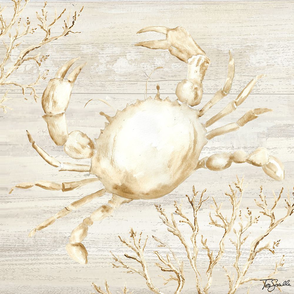 Praias Calmas II — Tre Sorelle Studios