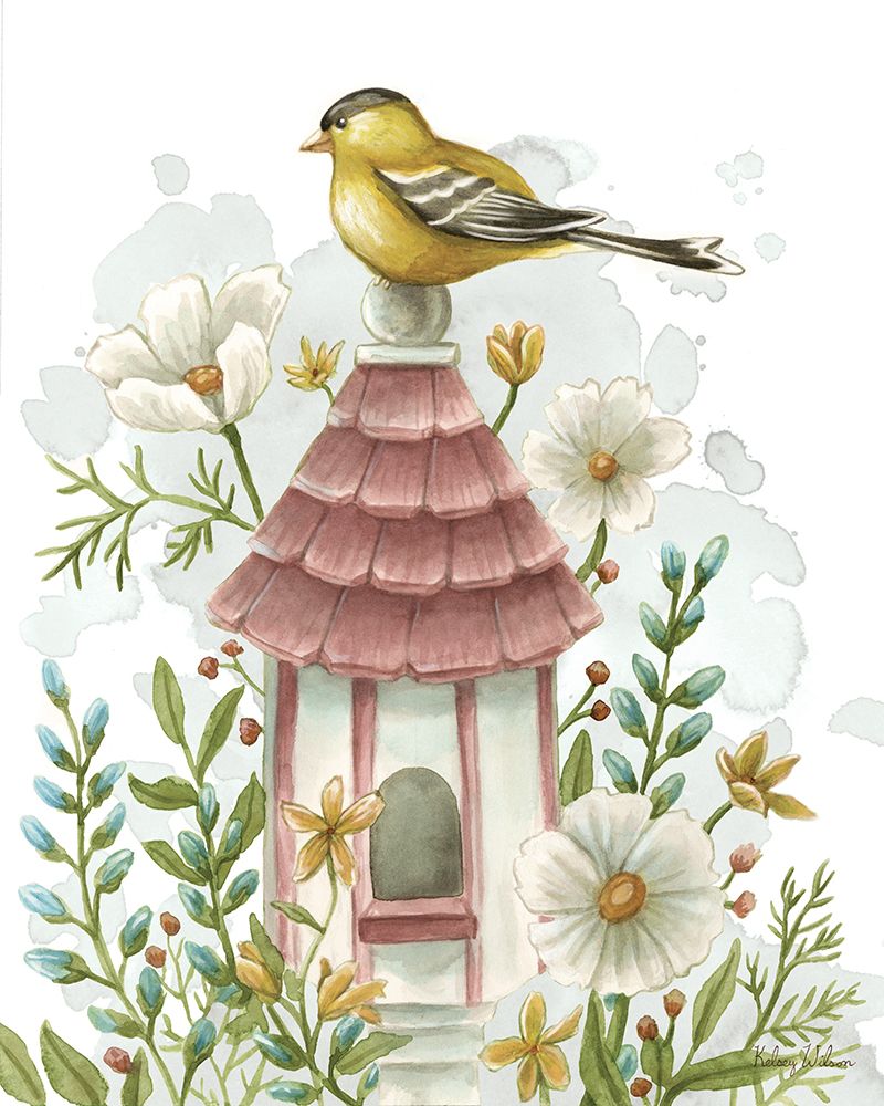 Campos de Plumas IX — Wilson, Kelsey