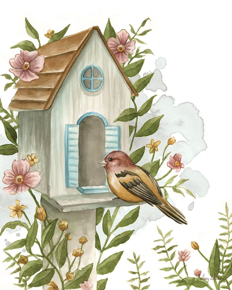 Campos de Plumas XI — Wilson, Kelsey