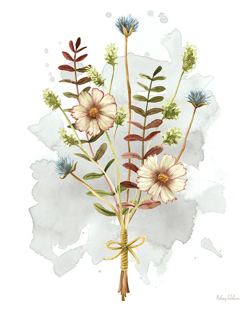 Campos de Plumas XVI — Wilson, Kelsey
