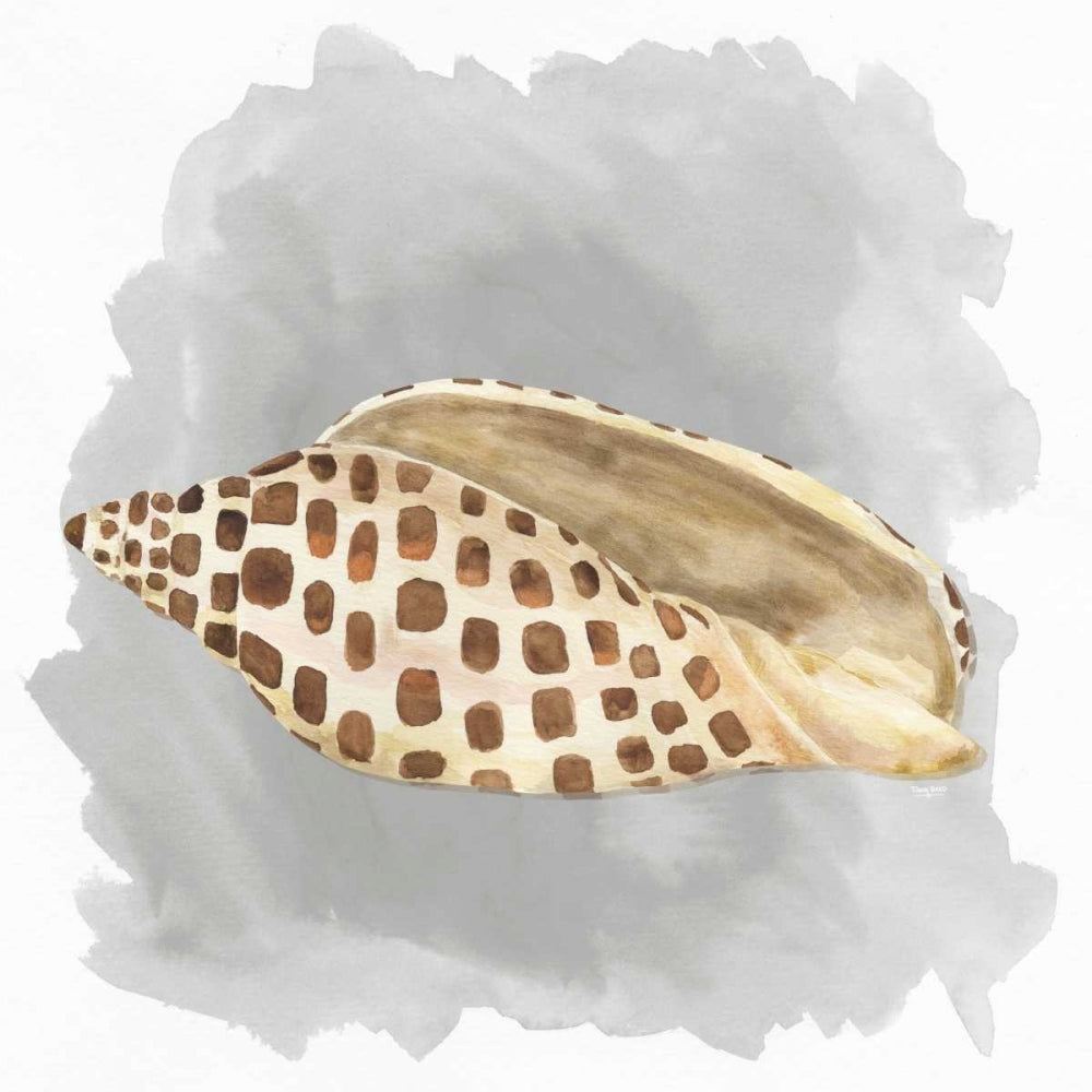 Conchas sobre Cinza I — Reed, Tara