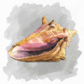 Conchas sobre Cinza II — Reed, Tara