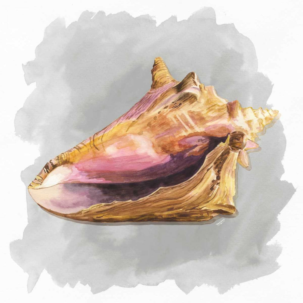 Conchas sobre Cinza II — Reed, Tara