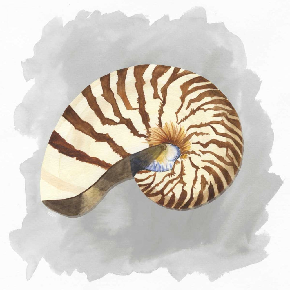 Conchas sobre Cinza III — Reed, Tara