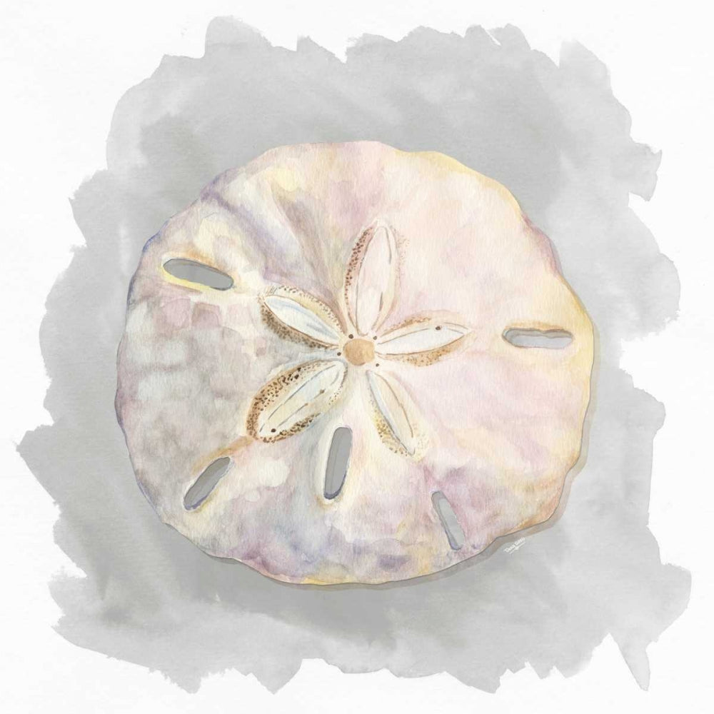 Conchas sobre Cinza IV — Reed, Tara