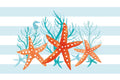 Coral e Água-Marinha II — Reed, Tara