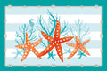 Coral e Água-Marinha II sobre Azul-Petróleo — Reed, Tara