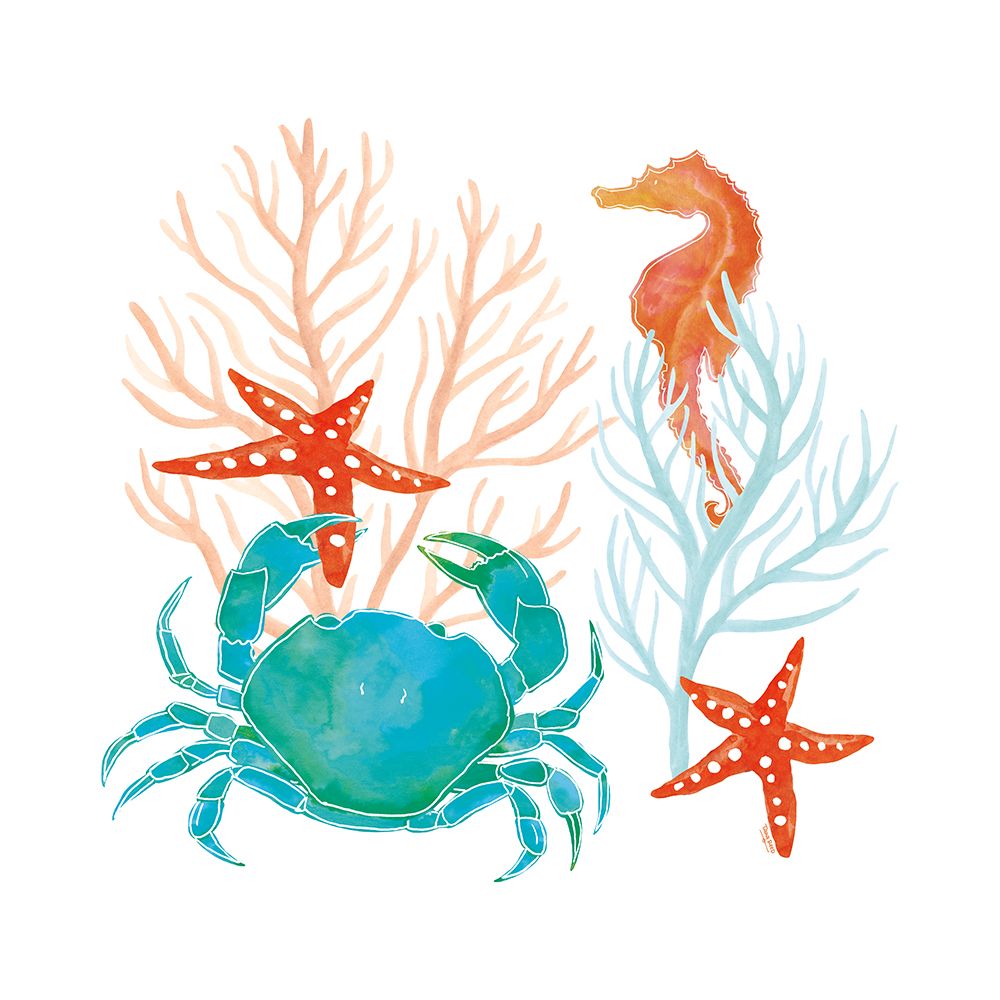 Coral e Água-Marinha VII — Reed, Tara