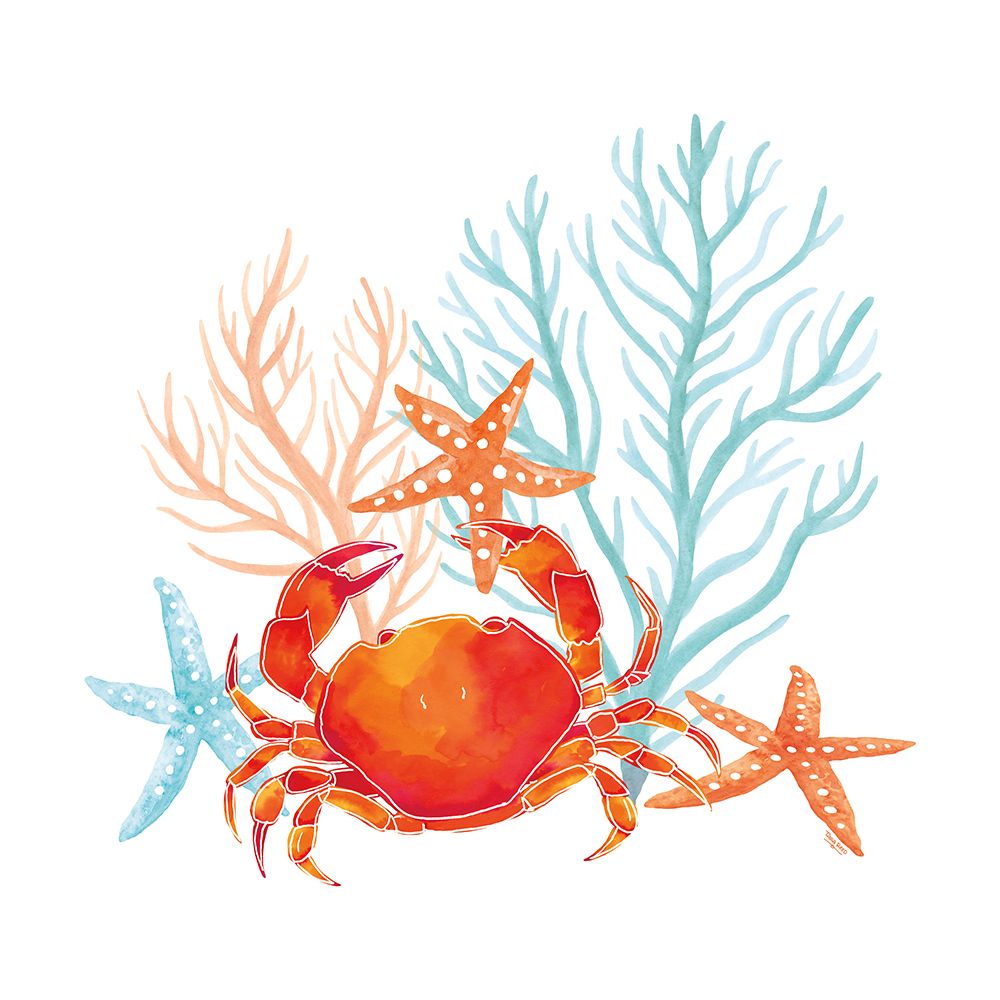 Coral e Água-Marinha VIII — Reed, Tara