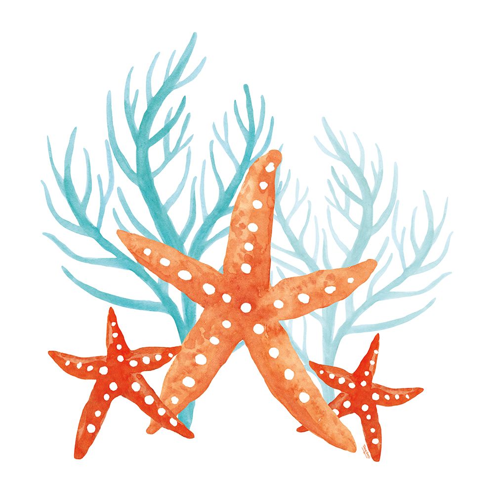 Coral e Água-Marinha XIV — Reed, Tara