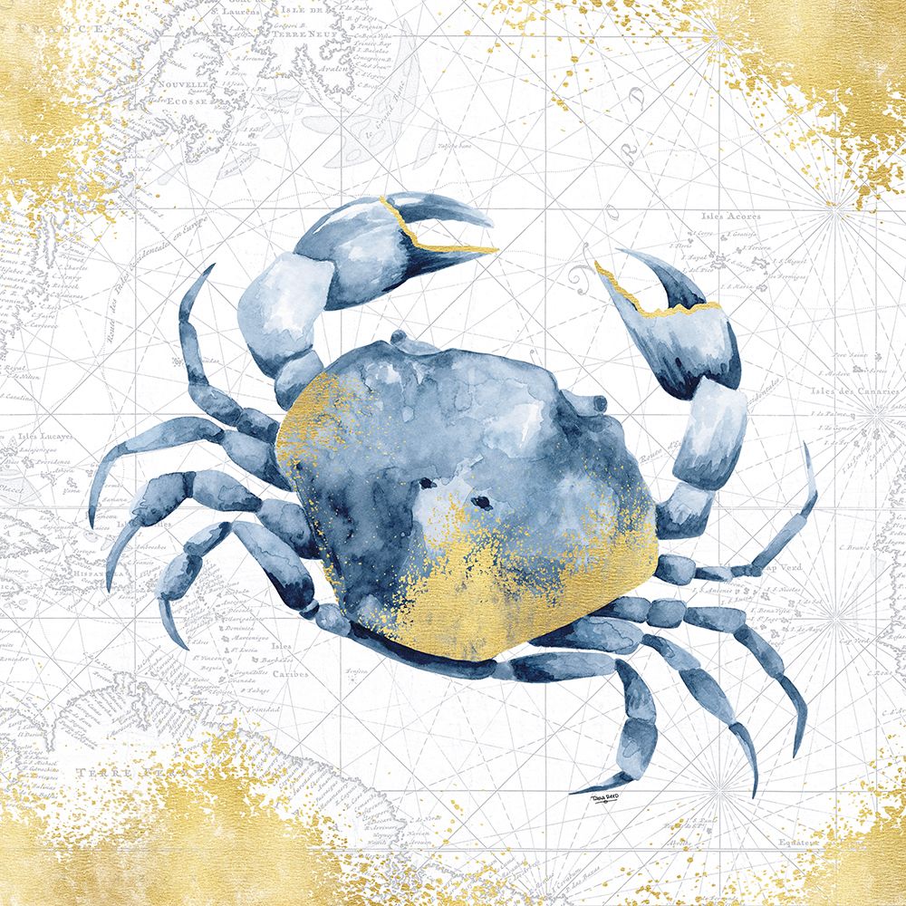 Mar Profundo Azul V Ouro Branco — Reed, Tara