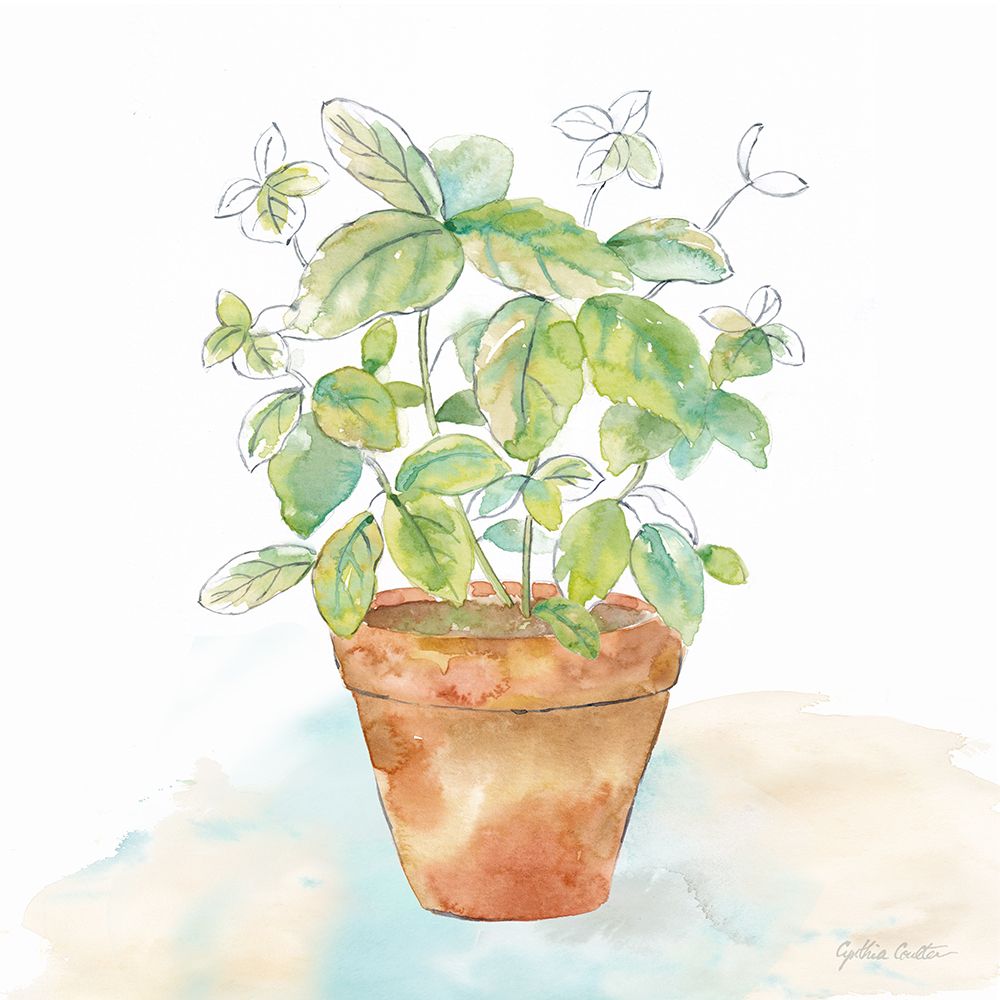 Deixe Crescer VI — Coulter, Cynthia