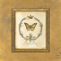 Borboleta Gravada — White, Kathryn