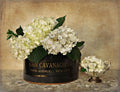 Hortênsia da Park Avenue — Atria, Cristin