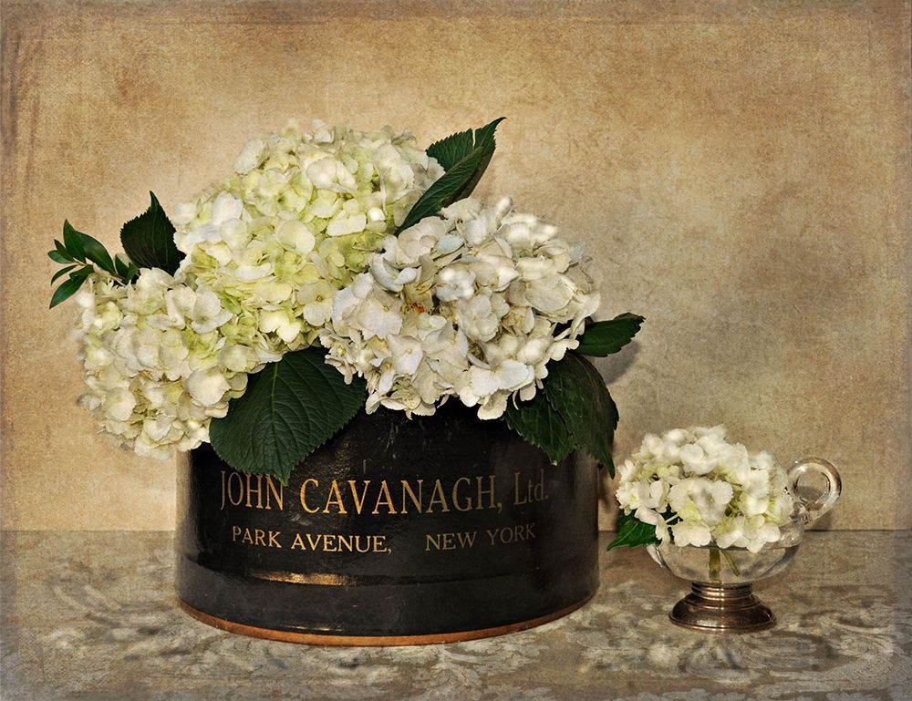 Hortênsia da Park Avenue — Atria, Cristin