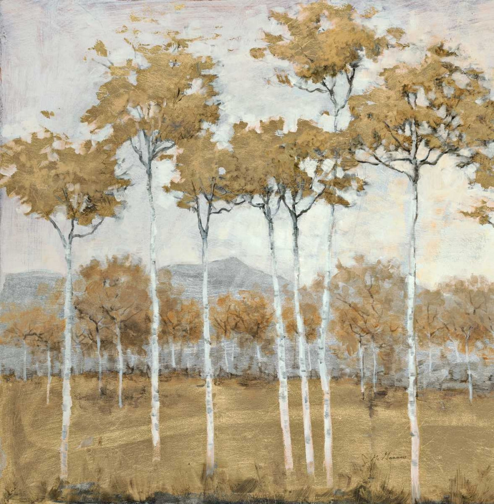 Ouro de Outono 1 — Schultz McGannon