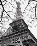 Primavera 1 — La Tour Eiffel — Vandenack