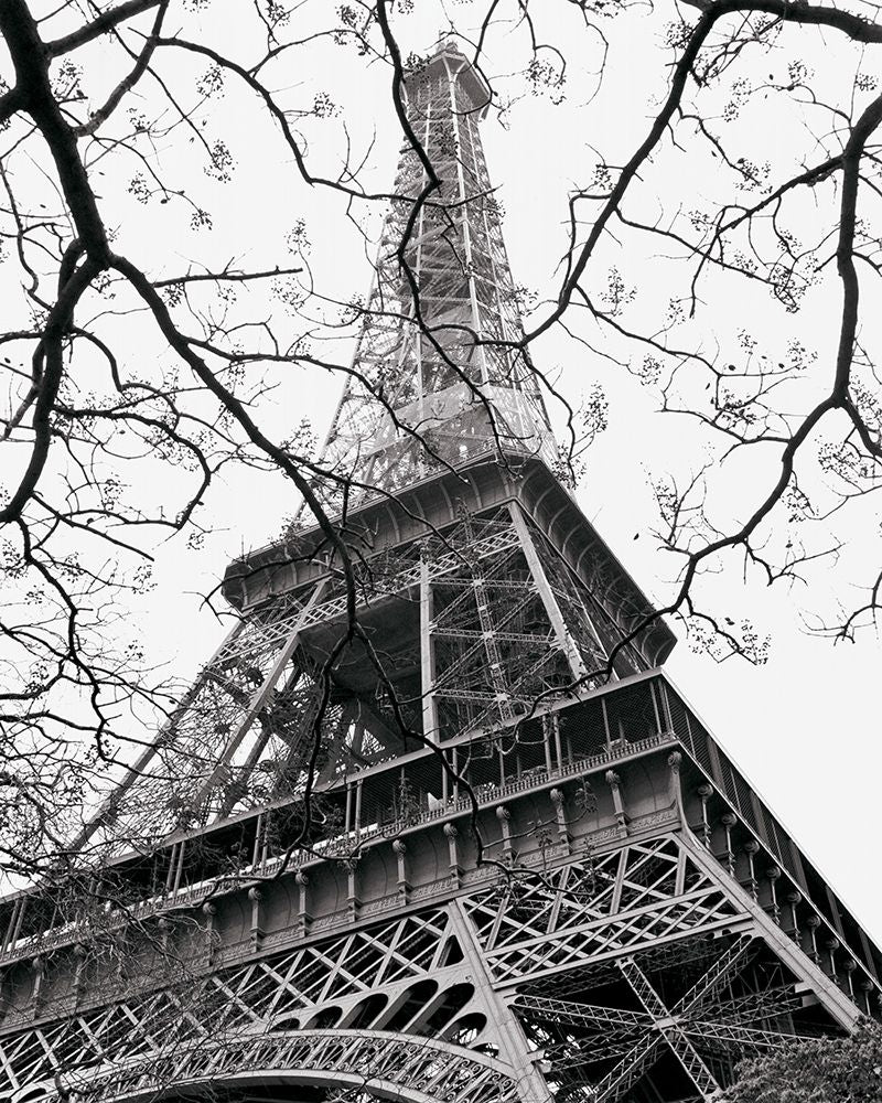 Primavera 1 — La Tour Eiffel — Vandenack