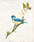 Pássaro Azul e Treliça — Sarah, Colleen