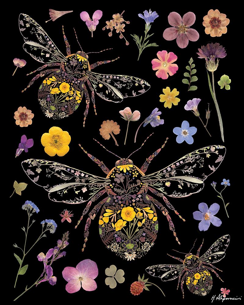 Mamangavas Florais — Ahpornsiri, Helen