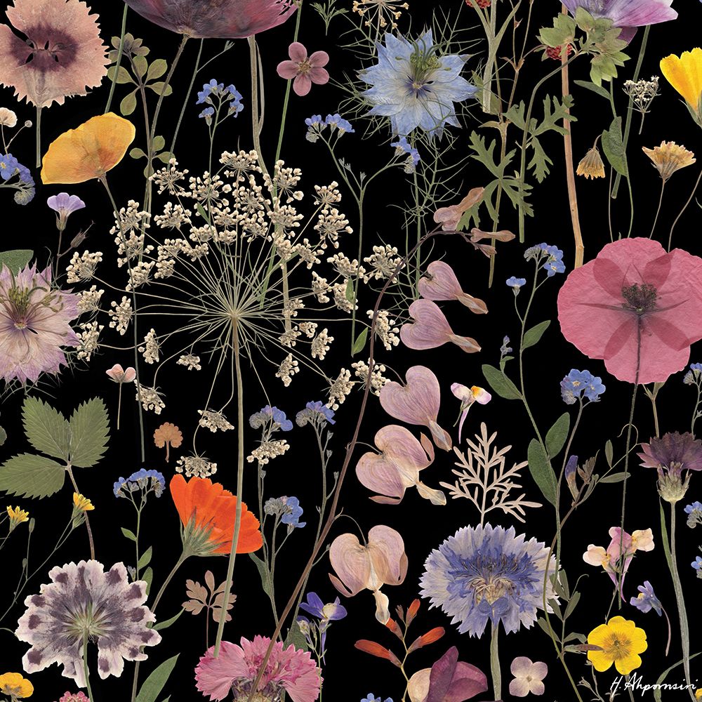 Plena Flor — Ahpornsiri, Helen