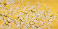 Flor em Amarelo — Prentice, Fletcher