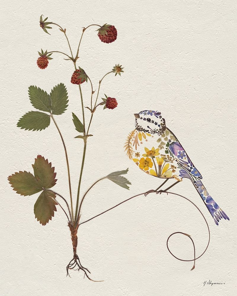 Morangos Silvestres — Ahpornsiri, Helen