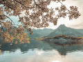 Fiorde Norueguês — Lofoten, Noruega — Frank, Assaf