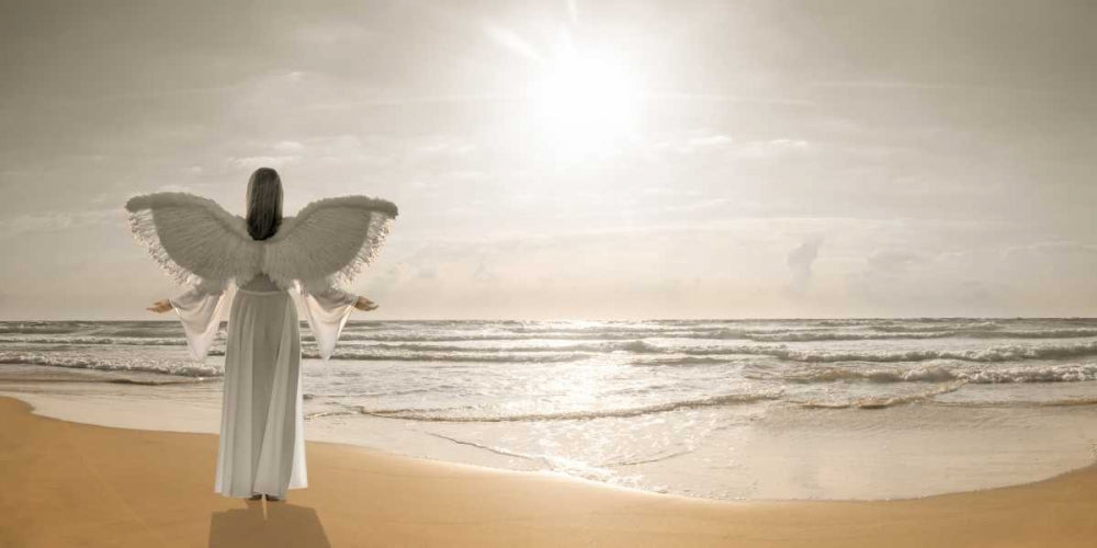 Recanto de uma Bela Praia — Frank, Assaf