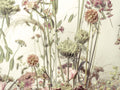 Flores da Campina III — Frank, Assaf