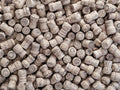 Rolhas de Champanhe — Frank, Assaf