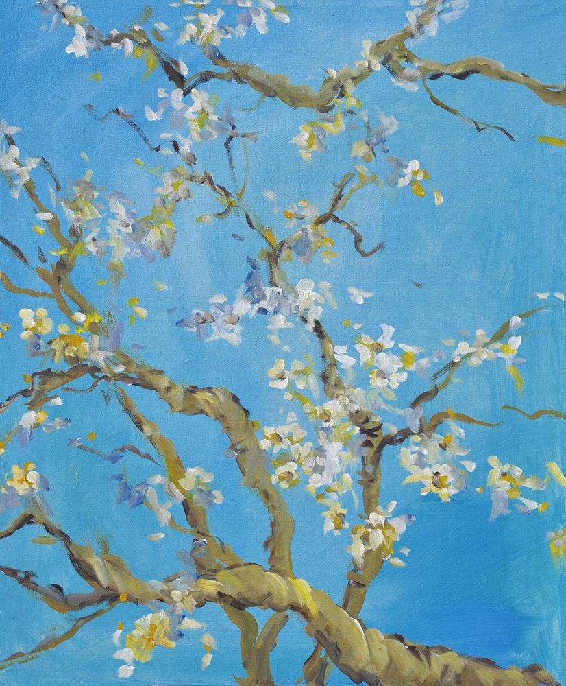Flor de Cerejeira 2 — Stevens, Allayn