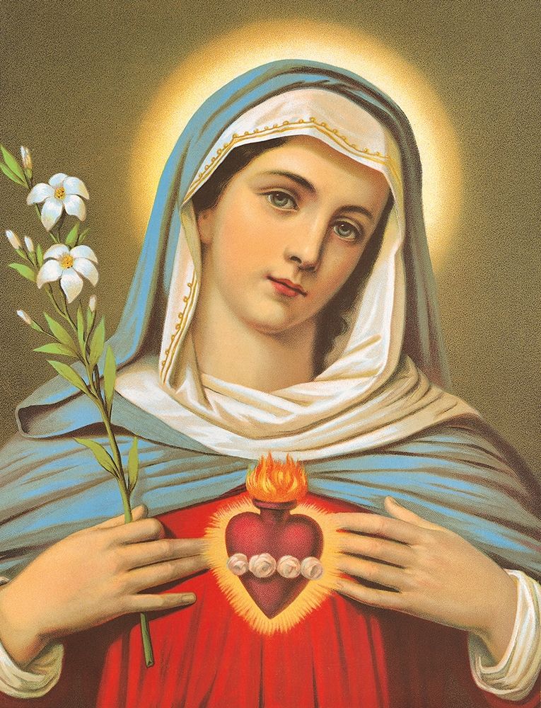 HL. HERZ MARIAE I — Anonymous