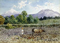 Campesino Arando — Lohr, Augusto