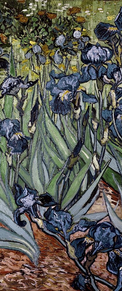 Irises (center) — Van Gogh, Vincent