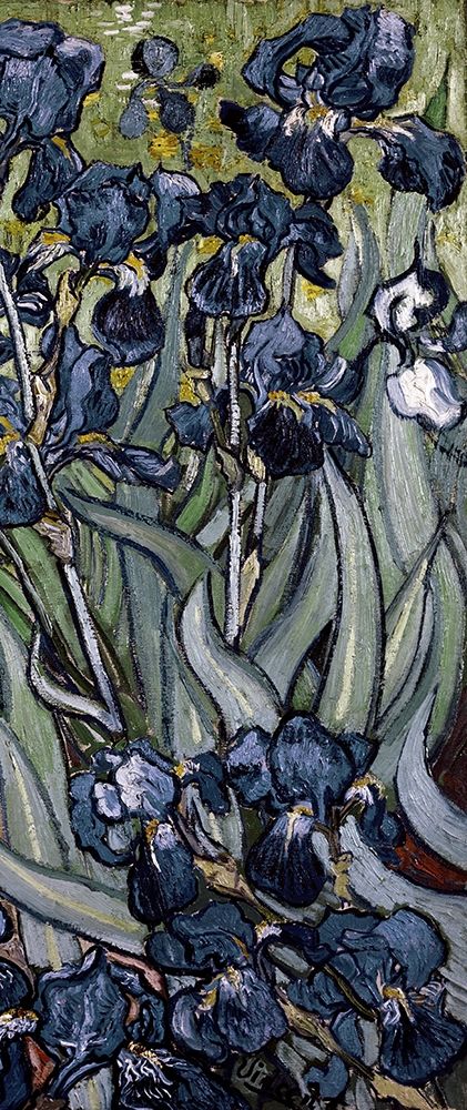 Irises (right) — Van Gogh, Vincent