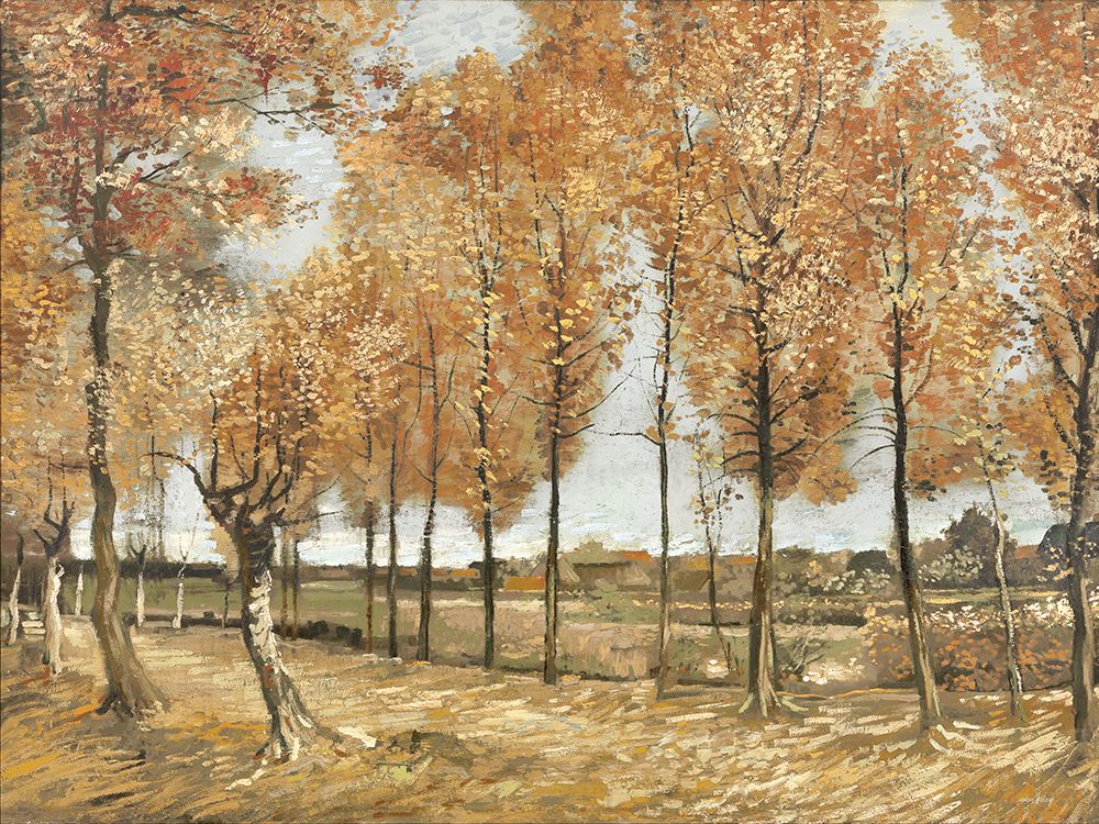 Caminho Emoldurado pela Folhagem — Sterling, Amber