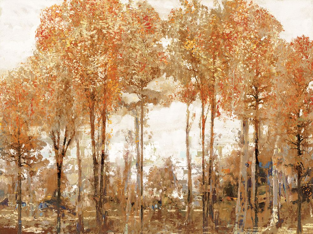 Floresta de Outono em Fogo de Cor — Sterling, Amber