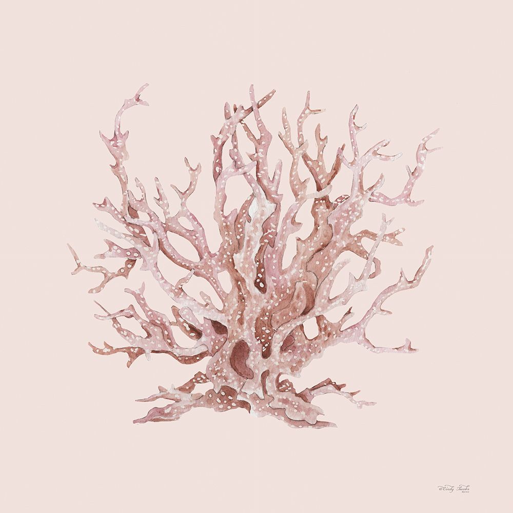 Coral Rosa I — Jacobs, Cindy