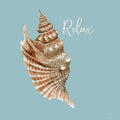 Concha 2 — relaxe — Jacobs, Cindy