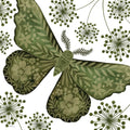 Mariposa Ornamentada — Cat Thurman Designs
